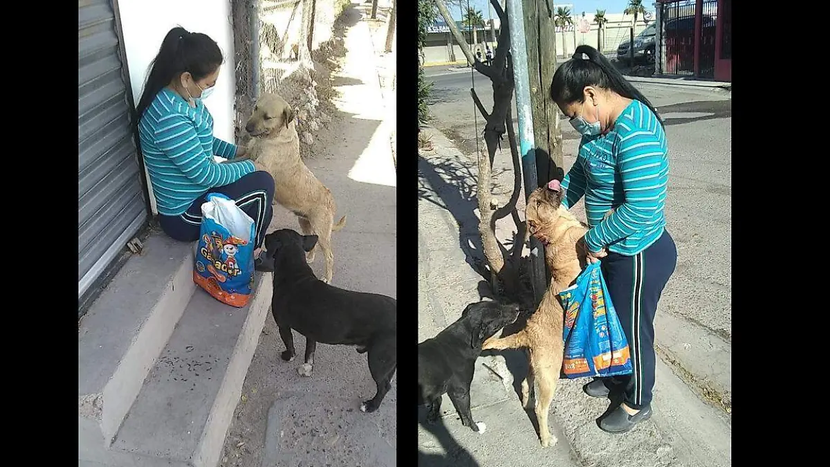 Angélica-López-Alimenta-Animales-de-la-calle (2)